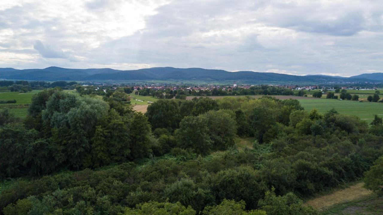 Ferienhaus Lenchen Niederkirchen bei Deidesheim Eksteriør billede